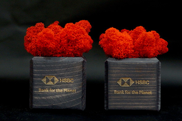 MossBox for HSBC Armenia